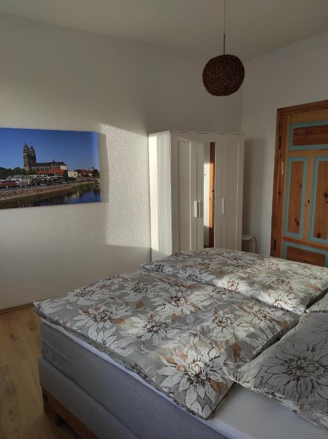 Gaestehaus Zur Faehre Coswig  Buitenkant foto
